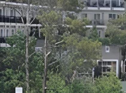 AlkoÃ§lar Exclusive Kemer Otel تورنگار