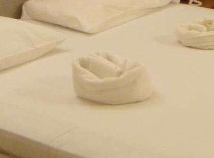 Ford Hotel تورنگار