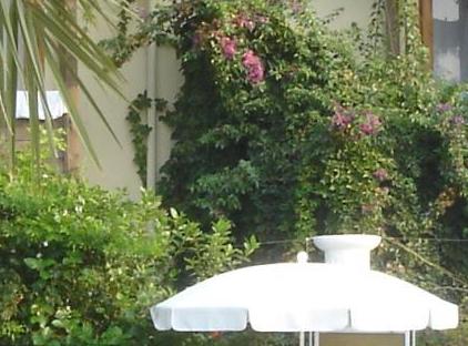 Ford Hotel تورنگار