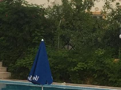 Hotel Park Avrupa تورنگار