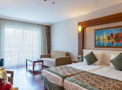 Viking Star Hotel تورنگار