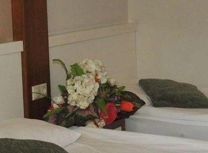 Viking Star Hotel تورنگار