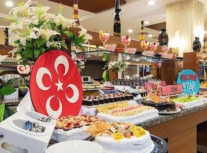 Viking Star Hotel تورنگار