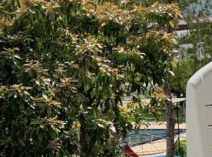 BELCAN HOTEL تورنگار