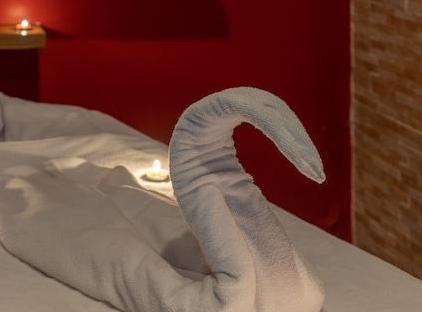 Grand Viking Hotel تورنگار