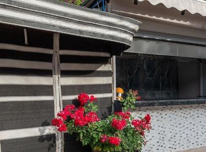 Grand Viking Hotel تورنگار