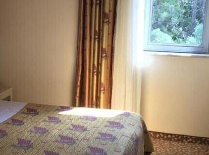 Grand Viking Hotel تورنگار