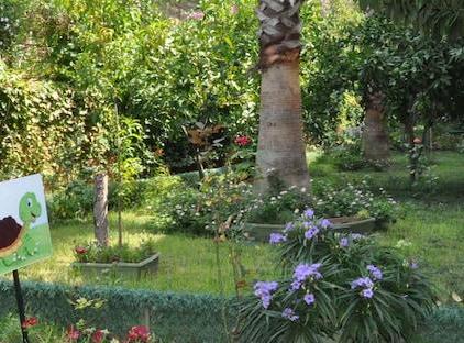 Grand Viking Hotel تورنگار