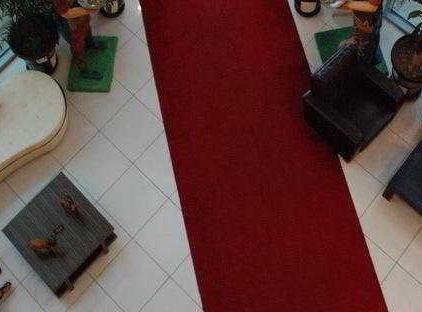 Grand Viking Hotel تورنگار