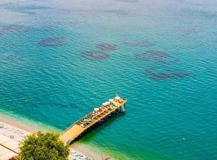 Ambassador Plaza Hotel - All Inclusive تورنگار