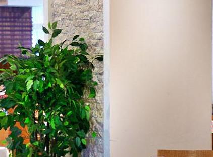 Crystal De Luxe Resort Spa - All Inclusive تورنگار