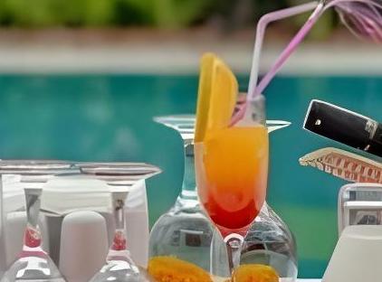 Armas Resort Hotel تورنگار