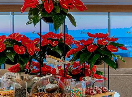 Corendon Playa Kemer تورنگار