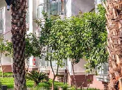 Corendon Playa Kemer تورنگار