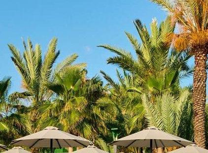 Mövenpick Resort Antalya Tekirova تورنگار