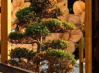 Mövenpick Resort Antalya Tekirova تورنگار