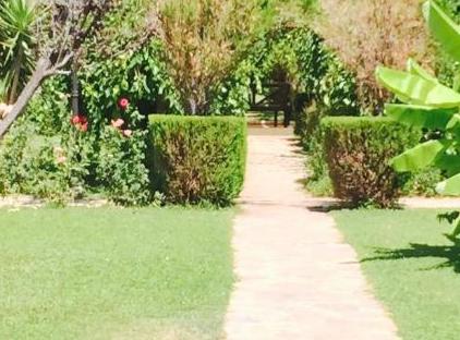 Armas Labada Hotel - All Inclusive تورنگار