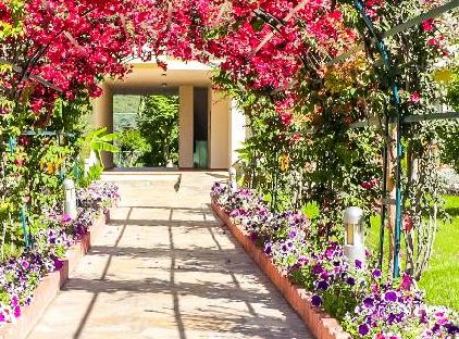 Queen's Park Le Jardin تورنگار