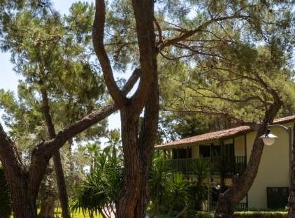 Crystal Flora Beach Resort - All Inclusive تورنگار