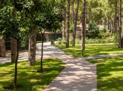 Crystal Flora Beach Resort - All Inclusive تورنگار