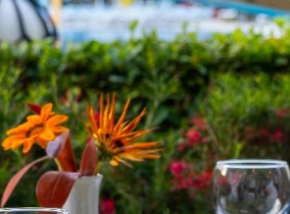 Eldar Resort Hotel تورنگار