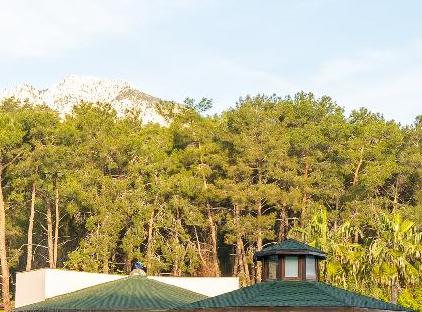 Eldar Resort Hotel تورنگار
