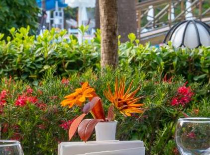 Eldar Resort Hotel تورنگار