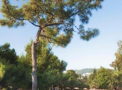 Akka Antedon Hotel تورنگار