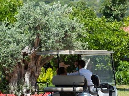 Kimera Hotel تورنگار