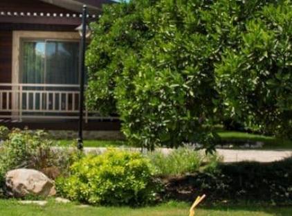 Kimera Hotel تورنگار