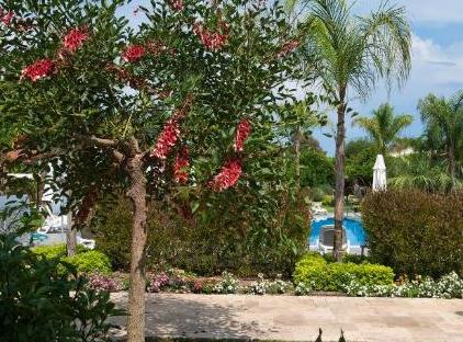 Kimera Hotel تورنگار