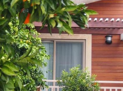 Kimera Hotel تورنگار