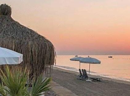 Nirvana Dolce Vita - All Inclusive تورنگار
