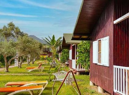 Çıralı Zakkum Bungalow تورنگار