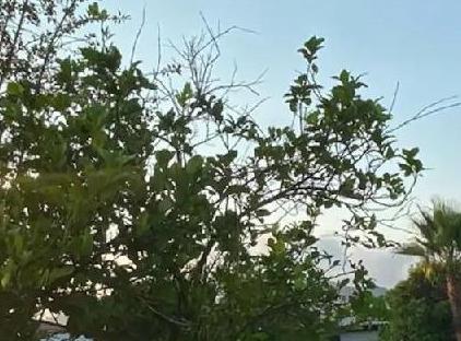 Kiriş Garden Apart Otel تورنگار