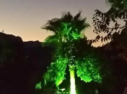 Kiriş Garden Apart Otel تورنگار