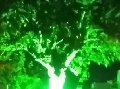 Kiriş Garden Apart Otel تورنگار