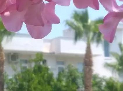 Kiriş Garden Apart Otel تورنگار