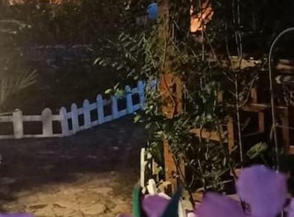 Canario Bungalows تورنگار