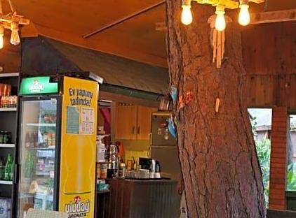 Canario Bungalows تورنگار