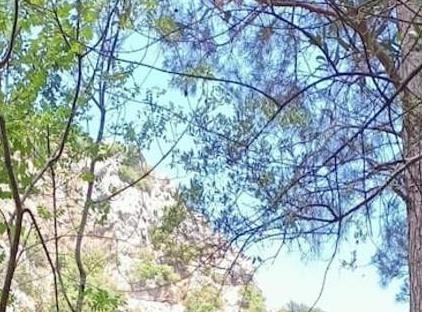 Canario Bungalows تورنگار