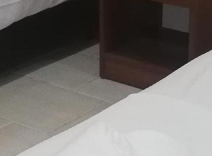 ES'VİDA HOTEL BELDİBİ تورنگار