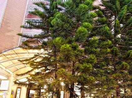 Pashas   Princess By Werde Hotels (Adult Only +16) تورنگار