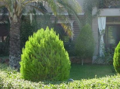 Demirkaya Konaklary 3+1Villa تورنگار