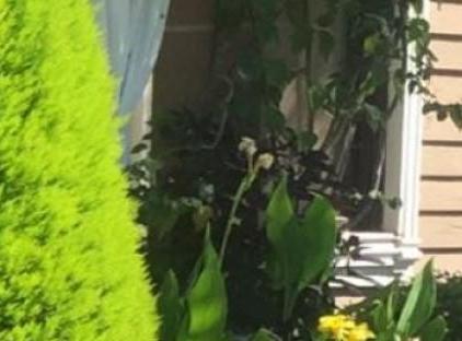 Demirkaya Konaklary 3+1Villa تورنگار