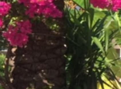 Demirkaya Konaklary 3+1Villa تورنگار