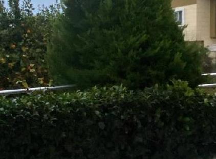 Arslan villa 2 kemer merkez تورنگار