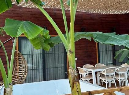 Villa Nar تورنگار