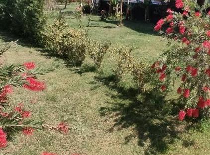 Villa Nar تورنگار