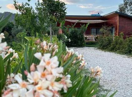 Villa Nar تورنگار